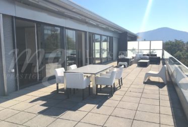 SUPERBE APPARTEMENT EN ATTIQUE EN PIGNON - SUD - AVEC LARGE TERRASSE DE 140 m2