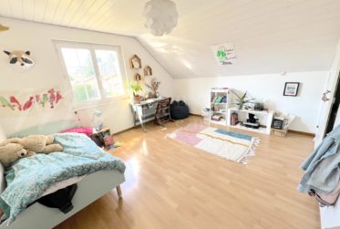 SUPERBE MAISON FAMILIALE INDIVIDUELLE - CALME ET GRAND JARDIN SUD ARBORE