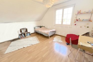 GRANDE MAISON FAMILIALE INDIVIDUELLE DE 375 m2 - RENOVEE - AVEC SUPERBE JARDIN ARBORE