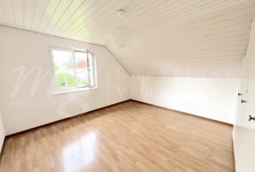 GRANDE MAISON FAMILIALE INDIVIDUELLE DE 375 m2 - RENOVEE - AVEC SUPERBE JARDIN ARBORE