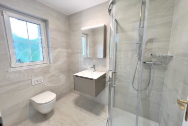 GRANDE MAISON FAMILIALE INDIVIDUELLE DE 375 m2 - RENOVEE - AVEC SUPERBE JARDIN ARBORE