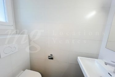 SUPERBE MAISON MODERNE DE 6 PIECES AVEC JARDIN SUD