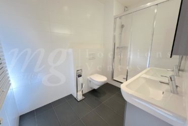 En exclusivité ! TRES GRANDE MAISON FAMILIALE DE 300 m2 utiles AVEC JARDIN - 5 chambres - Piscine