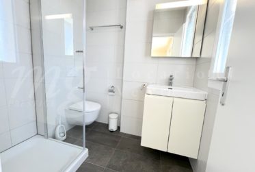 SUPERBE MAISON MODERNE DE 6 PIECES AVEC JARDIN SUD