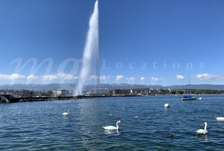 SUPERBE APPARTEMENT - QUAI GUSTAVE ADOR - FACE AU LAC
