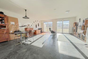 ATTIQUE - MAGNIFIQUE APPARTEMENT EN DUPLEX AVEC LARGE TERRASSE