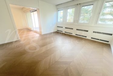 SUPERBE APPARTMENT DE 7.5 PIECES DE 180 m2 AVEC LARGE BALCON - CALME