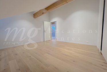 SUPERBE ET GRAND APPARTEMENT DE 102 m2 AVEC TERRASSE - LAC