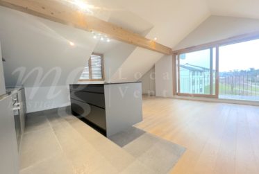 SUPERBE ET GRAND APPARTEMENT DE 102 m2 AVEC TERRASSE - LAC