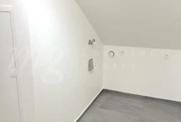 SUPERBE ET GRAND APPARTEMENT DE 102 m2 AVEC TERRASSE - LAC