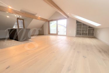 SUPERBE ET GRAND APPARTEMENT DE 102 m2 AVEC TERRASSE - LAC