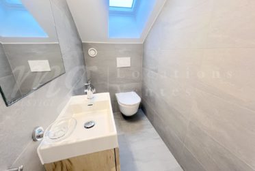 SUPERBE ET GRAND APPARTEMENT DE 102 m2 AVEC TERRASSE - LAC