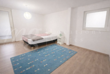 GRANDE MAISON INDIVIDUELLE FAMILIALE DE 300 m2 A COLLONGE-BELLERIVE