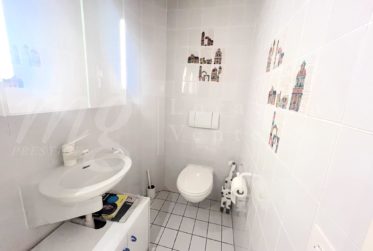 GRANDE MAISON INDIVIDUELLE FAMILIALE DE 300 m2 A COLLONGE-BELLERIVE