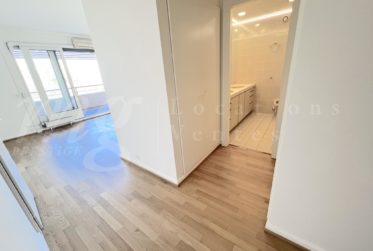SUPERBE APPARTEMENT DE 225 m2 AVEC GRAND BALCON ET VUE DEGAGEE A CHAMPEL - 4 chambres