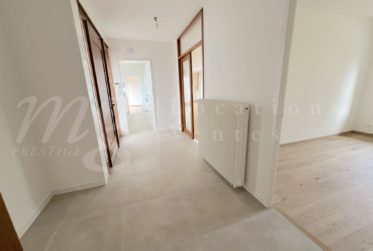 GRANDE MAISON INDIVIDUELLE FAMILIALE AVEC GRAND JARDIN PRIVATIF DE 1250 m2 ET PISCINE