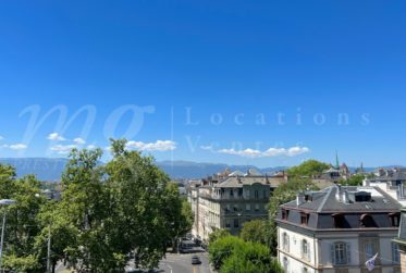 SUPERBE APPARTEMENT HAUSSMANNIEN DE 10 PIECES - 260 m2 - proche Eglise Russe
