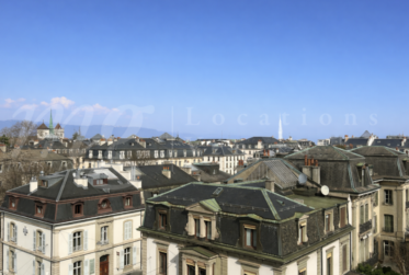 SUPERBE APPARTEMENT HAUSSMANNIEN DE 10 PIECES - 260 m2 - proche Eglise Russe