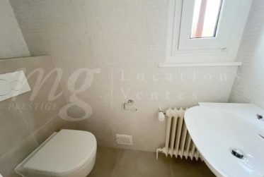 GRANDE MAISON INDIVIDUELLE FAMILIALE AVEC GRAND JARDIN PRIVATIF DE 1250 m2 ET PISCINE