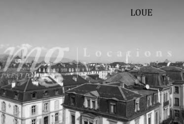 SUPERBE APPARTEMENT HAUSSMANNIEN DE 10 PIECES - 260 m2 - proche Eglise Russe