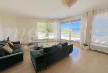 VUE PANORAMIQUE A 180° SUR LE LAC - MAISON MODERNE DE 400 m2 hab - PISCINE - ASCENSEUR