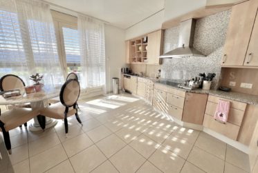 VUE PANORAMIQUE A 180° SUR LE LAC - MAISON MODERNE DE 400 m2 hab - PISCINE - ASCENSEUR