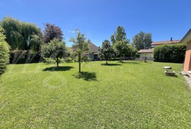 SUPERBE MAISON INDIVIDUELLE DE 250 m2 hab - RAVISSANT JARDIN CLOTUREE - ARBORISE - ET CALME DE 1100 m2