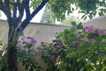 TRES BELLE MAISON DE 7 PIECES DE 170 m2 - AVEC JARDIN SUD ET PARC PRIVATIF - 4 chambres