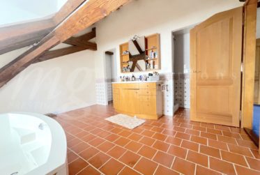 GRANDE MAISON DE MAITRE DE 12 PIECES AVEC BEAUCOUP DE CHARME - JARDIN PRIVATIF & PISCINE - 8 chambres