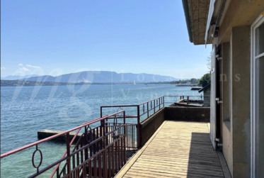 A DREAM !!! PIED DANS L'EAU !!!! TRES BELLE MAISON RENOVEE AVEC LARGE TERRASSE - VUE LAC, PONTON ET PLACE BATEAU