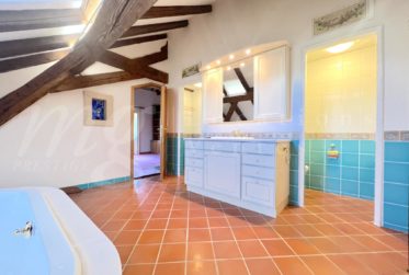 GRANDE MAISON DE MAITRE DE 12 PIECES AVEC BEAUCOUP DE CHARME - JARDIN PRIVATIF & PISCINE - 8 chambres