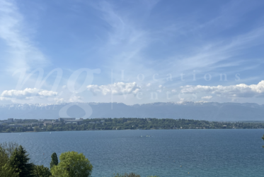 SUPERBE MAISON CONTEMPORAINE DE 580 m2 AVEC VUE EXCEPTIONNELLE SUR LE LAC