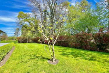 SUPERBE ET GRANDE MAISON DE 10 PIECES - 350 m2 - HPE - JARDIN DE 1100 m2 ET GRAND JACUZZI EXTERIEUR