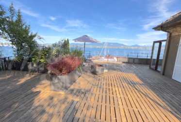 A DREAM !!! PIED DANS L'EAU !!!! TRES BELLE MAISON RENOVEE AVEC LARGE TERRASSE - VUE LAC, PONTON ET PLACE BATEAU