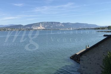 A DREAM !!! PIED DANS L'EAU !!!! TRES BELLE MAISON RENOVEE AVEC LARGE TERRASSE - VUE LAC, PONTON ET PLACE BATEAU