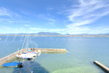 A DREAM !!! PIED DANS L'EAU !!!! TRES BELLE MAISON RENOVEE AVEC LARGE TERRASSE - VUE LAC, PONTON ET PLACE BATEAU