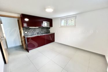 SUPERBE ET GRANDE MAISON DE 10 PIECES - 350 m2 - HPE - JARDIN DE 1100 m2 ET GRAND JACUZZI EXTERIEUR