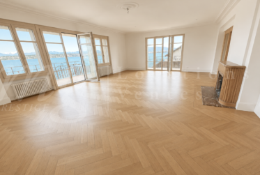 A DREAM !!! PIED DANS L'EAU !!!! TRES BELLE MAISON RENOVEE AVEC LARGE TERRASSE - VUE LAC, PONTON ET PLACE BATEAU