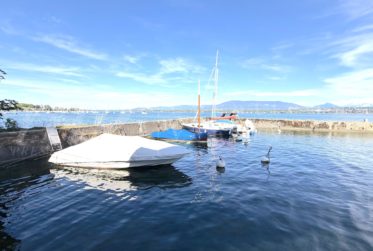 A DREAM !!! PIED DANS L'EAU !!!! TRES BELLE MAISON RENOVEE AVEC LARGE TERRASSE - VUE LAC, PONTON ET PLACE BATEAU