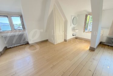 A DREAM !!! PIED DANS L'EAU !!!! TRES BELLE MAISON RENOVEE AVEC LARGE TERRASSE - VUE LAC, PONTON ET PLACE BATEAU