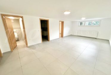 SUPERBE ET GRANDE MAISON DE 10 PIECES - 350 m2 - HPE - JARDIN DE 1100 m2 ET GRAND JACUZZI EXTERIEUR