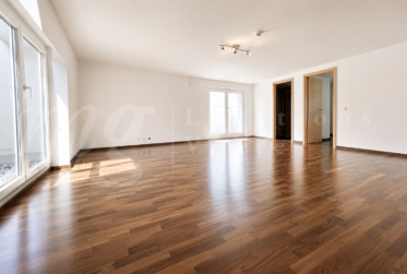 En exclusivité ! MAGNIFIQUE MAISON MODERNE DE 300 M2 AVEC GRAND JARDIN ET PISCINE