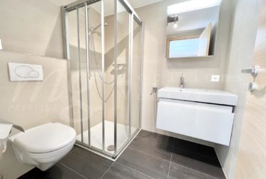 En exclusivité ! MAGNIFIQUE MAISON MODERNE DE 300 M2 AVEC GRAND JARDIN ET PISCINE