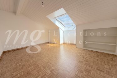 En Exclusivité !!! SUPERBE APPARTEMENT DE 152 m2 EN DUPLEX ATTTIQUE AVEC BELLE TERRASSE/JARDIN