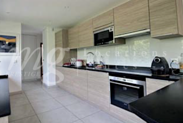 SUPERBE ET GRANDE MAISON DE 10 PIECES - 350 m2 - HPE - JARDIN DE 1100 m2 ET GRAND JACUZZI EXTERIEUR
